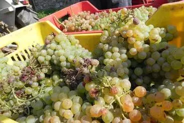 ホテル Agriturismo Il Cuscino Nel Pagliaio