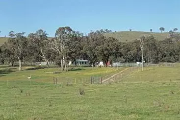 Pensió Glenview Alpaca Farm