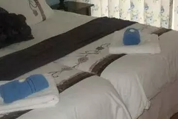 Bottlenose B&b