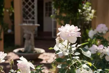 Roses And Pebbles B & B Guest House