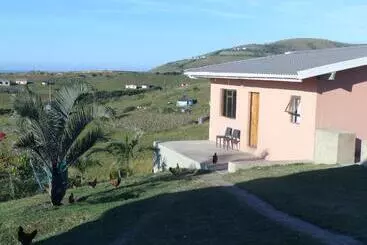 Pension Sheep And Stars