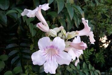 Bed and Breakfast 4 Stagioni