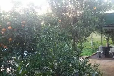 ペンション Pousada Legal