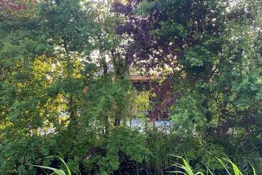 پانسیون Casa Qirih