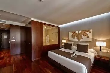 Отель Carris Cardenal Quevedo