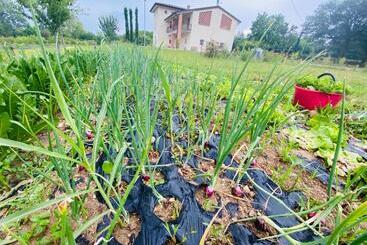 هتل Incanto Del Garda