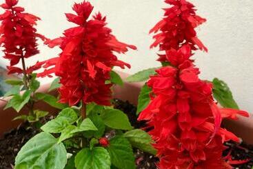 هتل Incanto Del Garda