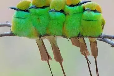 Majatalo B&b Landlust Guesthouse