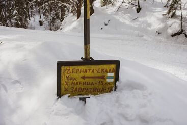 בית מלון כפרי Euphoria Club