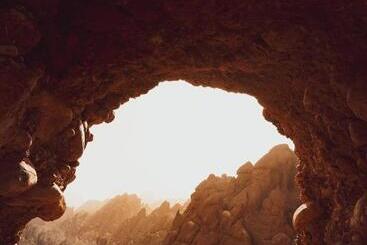 Pensionat Monkey Fingers House By Fatima Mellal