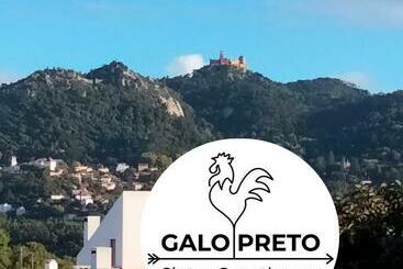 تختخواب و صبحانه Galo Preto   Sintra Guesthouse