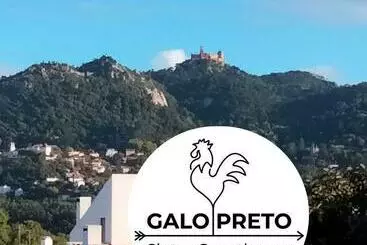 ベッドアンドブレックファースト Galo Preto   Sintra Guesthouse