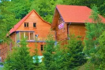 ホテル Waldhaus Altenbrak