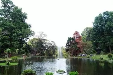 Talita Resort Ciloto Puncak