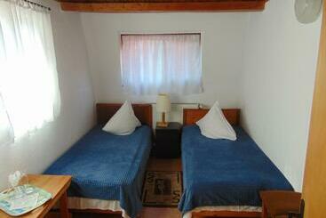 酒店 Pensiunea Amo