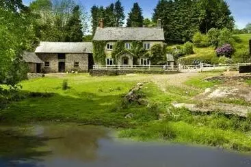 Bed and Breakfast Zeal Farm