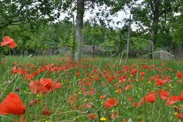 Aamiaismajoitus (B&B) Il Giardino Del Sole