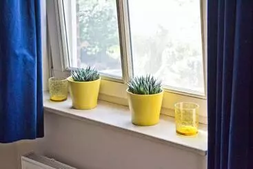 Bed & Breakfast Maryland