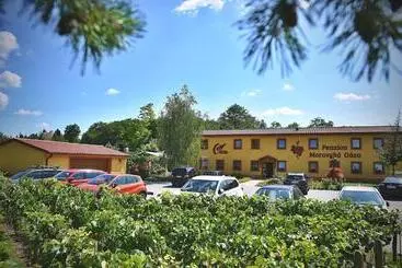 ペンション Penzion Moravská Oáza