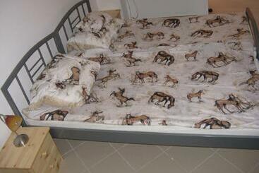 پانسیون Kárpáti Motel