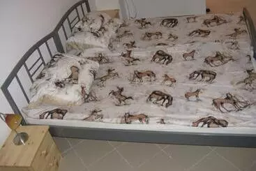 Pensão Kárpáti Motel