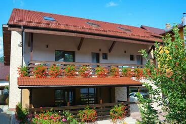 Pensionat Vila Andrei