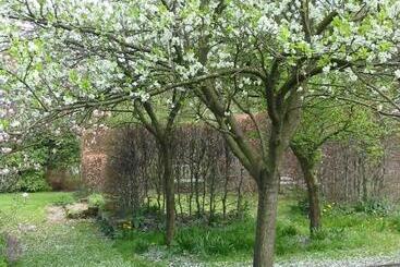 Bed and Breakfast Selatuinen