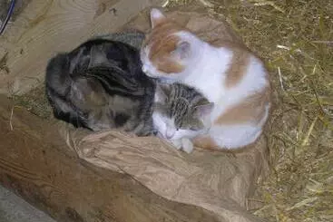 ホテル Beim Naglbauer