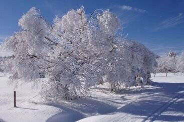 צימר Chambres Et Table D Hôtes Il Fut Un Temps..