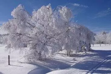 Bed and Breakfast Chambres Et Table D Hôtes Il Fut Un Temps..
