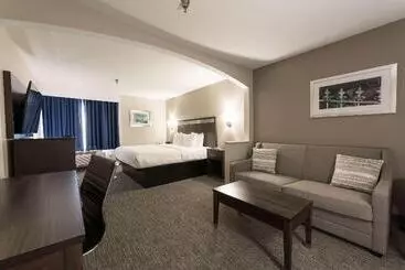 酒店 Best Western Abilene Inn And Suites
