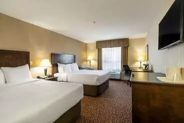 فندق Comfort Inn & Suites