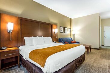 Otel Comfort Suites At The University