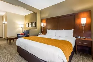 فندق Comfort Suites At The University