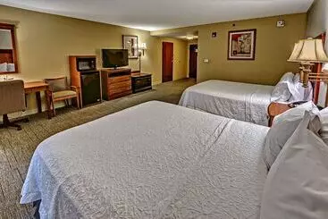 בית מלון כפרי Hampton Inn Manning