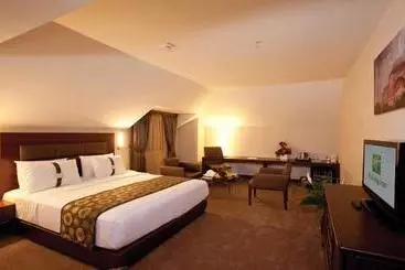 فندق Holiday Inn Gebze  Istanbul Asia, An Ihg