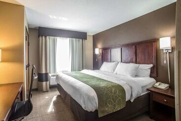 Отель Comfort Suites Columbia  University Area