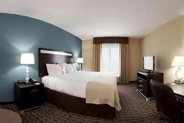 Hotel Holiday Inn Houston Webster By Ihg