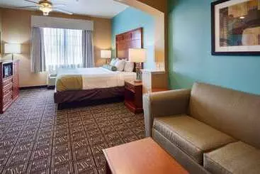 酒店 Best Western Plus Monahans Inn And Suites