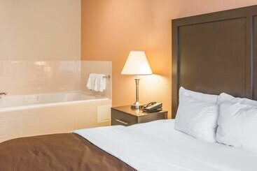 فندق Quality Inn & Suites Niles