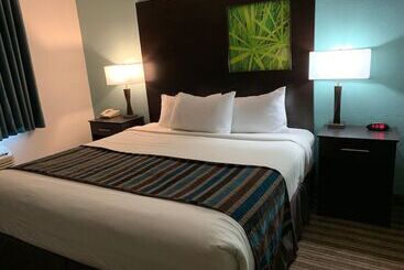 Hotel Super 8 By Wyndham Brenham Tx