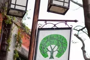 árbol De Fuego Eco Hotel, A Green Experience In The City