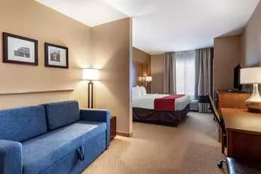 בית מלון כפרי Comfort Suites Florence Shoals Area