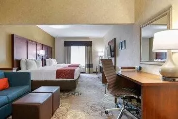 Otel Comfort Suites Southfield Detroit