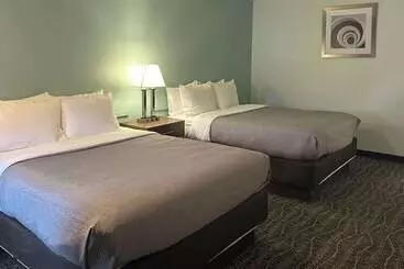 汽车旅馆  Quality Inn Fairfield Napa Valley Area