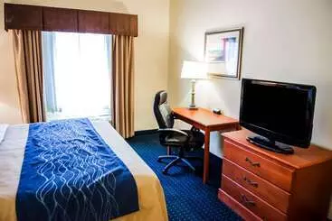 호텔 Comfort Inn & Suites Chipley I10