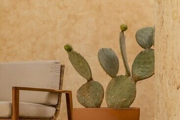 Отель Casa Santo Origen