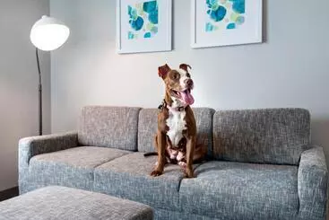 شقة فندقية Towneplace Suites Buffalo Airport