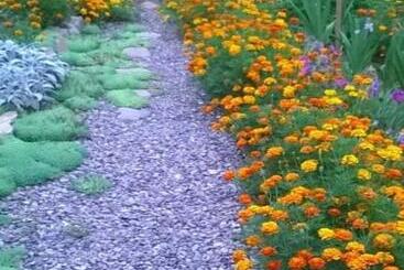 بنسيون Bat Kivska Hata