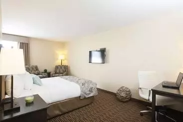 호텔 Pomeroy Inn & Suites At Olds